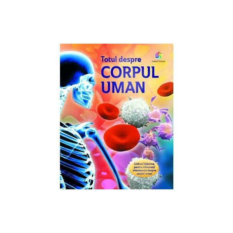 Corint - totul despre corpul uman