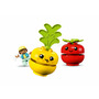 Tractor cu fructe si legume - 7