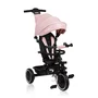 Tricicleta copii, Lionelo, Berry, 2 in 1, Multifunctionala, Suport picioare, Control al directiei, Scaun reversibil, Rotire 360 grade, Functie de roata libera, Utilizare pana la 5 ani, Constructie din otel, Conform cu standardul EN71, Roz - 4