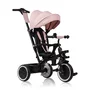 Tricicleta copii, Lionelo, Berry, 2 in 1, Multifunctionala, Suport picioare, Control al directiei, Scaun reversibil, Rotire 360 grade, Functie de roata libera, Utilizare pana la 5 ani, Constructie din otel, Conform cu standardul EN71, Roz - 1