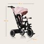 Tricicleta copii, Lionelo, Berry, 2 in 1, Multifunctionala, Suport picioare, Control al directiei, Scaun reversibil, Rotire 360 grade, Functie de roata libera, Utilizare pana la 5 ani, Constructie din otel, Conform cu standardul EN71, Roz - 25