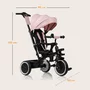 Tricicleta copii, Lionelo, Berry, 2 in 1, Multifunctionala, Suport picioare, Control al directiei, Scaun reversibil, Rotire 360 grade, Functie de roata libera, Utilizare pana la 5 ani, Constructie din otel, Conform cu standardul EN71, Roz - 25