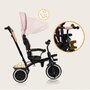 Tricicleta copii, Lionelo, Berry, 2 in 1, Multifunctionala, Suport picioare, Control al directiei, Scaun reversibil, Rotire 360 grade, Functie de roata libera, Utilizare pana la 5 ani, Constructie din otel, Conform cu standardul EN71, Roz - 27