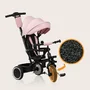 Tricicleta copii, Lionelo, Berry, 2 in 1, Multifunctionala, Suport picioare, Control al directiei, Scaun reversibil, Rotire 360 grade, Functie de roata libera, Utilizare pana la 5 ani, Constructie din otel, Conform cu standardul EN71, Roz - 31