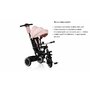 Tricicleta copii, Lionelo, Berry, 2 in 1, Multifunctionala, Suport picioare, Control al directiei, Scaun reversibil, Rotire 360 grade, Functie de roata libera, Utilizare pana la 5 ani, Constructie din otel, Conform cu standardul EN71, Roz - 34