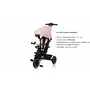 Tricicleta copii, Lionelo, Berry, 2 in 1, Multifunctionala, Suport picioare, Control al directiei, Scaun reversibil, Rotire 360 grade, Functie de roata libera, Utilizare pana la 5 ani, Constructie din otel, Conform cu standardul EN71, Roz - 35