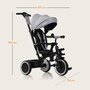 Tricicleta copii, Lionelo, Berry, 2 in 1, Multifunctionala, Suport picioare, Control al directiei, Scaun reversibil, Rotire 360 grade, Functie de roata libera, Utilizare pana la 5 ani, Constructie din otel, Conform cu standardul EN71, Gri - 24