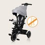 Tricicleta copii, Lionelo, Berry, 2 in 1, Multifunctionala, Suport picioare, Control al directiei, Scaun reversibil, Rotire 360 grade, Functie de roata libera, Utilizare pana la 5 ani, Constructie din otel, Conform cu standardul EN71, Gri - 25