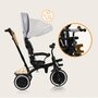 Tricicleta copii, Lionelo, Berry, 2 in 1, Multifunctionala, Suport picioare, Control al directiei, Scaun reversibil, Rotire 360 grade, Functie de roata libera, Utilizare pana la 5 ani, Constructie din otel, Conform cu standardul EN71, Gri - 26