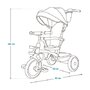 Tricicleta copii, Lionelo, Berry, 2 in 1, Multifunctionala, Suport picioare, Control al directiei, Scaun reversibil, Rotire 360 grade, Functie de roata libera, Utilizare pana la 5 ani, Constructie din otel, Conform cu standardul EN71, Gri - 38