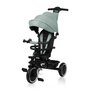 Tricicleta copii, Lionelo, Berry, 2 in 1, Multifunctionala, Suport picioare, Control al directiei, Scaun reversibil, Rotire 360 grade, Functie de roata libera, Utilizare pana la 5 ani, Constructie din otel, Conform cu standardul EN71, Verde - 3