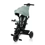 Tricicleta copii, Lionelo, Berry, 2 in 1, Multifunctionala, Suport picioare, Control al directiei, Scaun reversibil, Rotire 360 grade, Functie de roata libera, Utilizare pana la 5 ani, Constructie din otel, Conform cu standardul EN71, Verde - 3