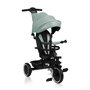 Tricicleta copii, Lionelo, Berry, 2 in 1, Multifunctionala, Suport picioare, Control al directiei, Scaun reversibil, Rotire 360 grade, Functie de roata libera, Utilizare pana la 5 ani, Constructie din otel, Conform cu standardul EN71, Verde - 4