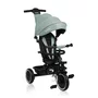 Tricicleta copii, Lionelo, Berry, 2 in 1, Multifunctionala, Suport picioare, Control al directiei, Scaun reversibil, Rotire 360 grade, Functie de roata libera, Utilizare pana la 5 ani, Constructie din otel, Conform cu standardul EN71, Verde - 4
