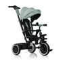 Tricicleta copii, Lionelo, Berry, 2 in 1, Multifunctionala, Suport picioare, Control al directiei, Scaun reversibil, Rotire 360 grade, Functie de roata libera, Utilizare pana la 5 ani, Constructie din otel, Conform cu standardul EN71, Verde