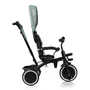 Tricicleta copii, Lionelo, Berry, 2 in 1, Multifunctionala, Suport picioare, Control al directiei, Scaun reversibil, Rotire 360 grade, Functie de roata libera, Utilizare pana la 5 ani, Constructie din otel, Conform cu standardul EN71, Verde - 19