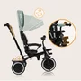 Tricicleta copii, Lionelo, Berry, 2 in 1, Multifunctionala, Suport picioare, Control al directiei, Scaun reversibil, Rotire 360 grade, Functie de roata libera, Utilizare pana la 5 ani, Constructie din otel, Conform cu standardul EN71, Verde - 29