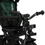Tricicleta copii, Lionelo, Haari, Ultrapliabila, Multifunctionala, Suport picioare, Control al directiei, Scaun reversibil, Rotire 360 grade, Conform cu standardul european de securitate EN71, Verde - 11