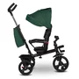 Tricicleta copii, Lionelo, Haari, Ultrapliabila, Multifunctionala, Suport picioare, Control al directiei, Scaun reversibil, Rotire 360 grade, Conform cu standardul european de securitate EN71, Verde - 24