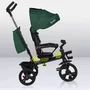 Tricicleta copii, Lionelo, Haari, Ultrapliabila, Multifunctionala, Suport picioare, Control al directiei, Scaun reversibil, Rotire 360 grade, Conform cu standardul european de securitate EN71, Verde - 36
