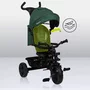 Tricicleta copii, Lionelo, Haari, Ultrapliabila, Multifunctionala, Suport picioare, Control al directiei, Scaun reversibil, Rotire 360 grade, Conform cu standardul european de securitate EN71, Verde - 40