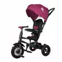 Tricicleta cu roti de cauciuc Qplay Rito Rubber Violet - 11