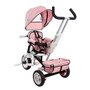 Tricicleta cu sezut reversibil Sun Baby 002 Super Trike Plus Pink - 3