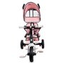 Tricicleta cu sezut reversibil Sun Baby 002 Super Trike Plus Pink - 5