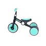 Tricicleta copii, Lorelli, Buzz, complet pliabila, Black & Turquoise - 3