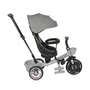 Tricicleta copii, Voyage, cu sezut reversibil, 1-5 Ani, Grey - 2