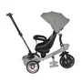 Tricicleta copii, Voyage, cu sezut reversibil, 1-5 Ani, Grey - 3