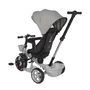 Tricicleta copii, Voyage, cu sezut reversibil, 1-5 Ani, Grey - 6