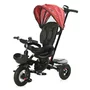 Tricicleta copii, Lorelli, Zippy Air, control parental, 12-36 luni, Ruby - 1