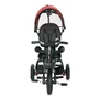 Tricicleta copii, Lorelli, Zippy Air, control parental, 12-36 luni, Ruby - 2