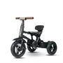 Tricicleta pliabila Qplay Rito Deluxe Gri - 6