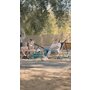 Trotineta, Lionelo, Whizz, Pentru Acrobatii, Rulmenti ABEC-9, Sistemul de compresie IHC 9, 20 - 100 kg, Conform cu standardul european de securitate EN14619, Verde/Negru - 23