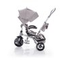 Tricicleta copii, ZOPA, multifunctionala Citigo Pearl Grey - 8