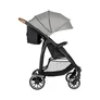 Carucior Bebeconfort Ingenious