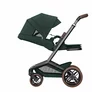Carucior Maxi-Cosi FAME