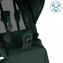 Carucior Maxi-Cosi FAME