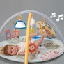 Centru De Joaca TAF TOYS - SAVANNAH
