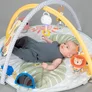 Centru De Joaca TAF TOYS - SAVANNAH