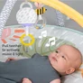 Centru De Joaca TAF TOYS - SAVANNAH
