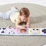 Jucarie 3 in 1 Pentru Landou TAF TOYS - Carticica Hazlie