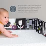 Jucarie 3 in 1 Pentru Landou TAF TOYS - Carticica Hazlie - URBAN GARDEN