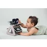 Jucarie Carte Care Se Roteste TAF TOYS - BLACK & WHITE