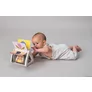 Jucarie Carte Care Se Roteste TAF TOYS - URBAN GARDEN