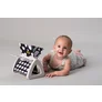 Jucarie Carte Care Se Roteste TAF TOYS - URBAN GARDEN