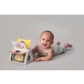Jucarie Carte Care Se Roteste TAF TOYS - URBAN GARDEN