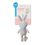 Jucarie Muzicala TAF TOYS - Iepurasul RYLEE